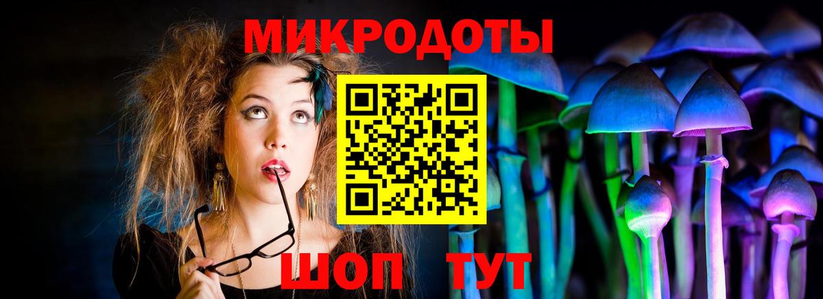 Псилоцибиновые грибы Psilocybine cubensis  Вход с VPN  Псилоцибиновые грибы GOLDEN TEACHER  Елизово 